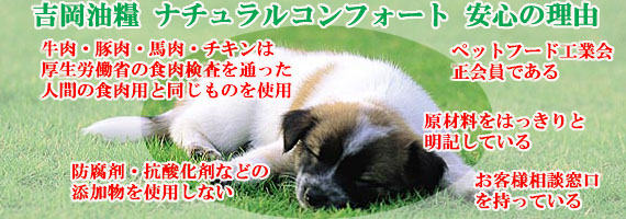 吉岡油糧 ナチュラルコンフォート 安心の理由